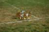 DSC_0083.JPG (95695 bytes)