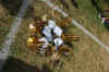 DSC_0084.JPG (104622 bytes)